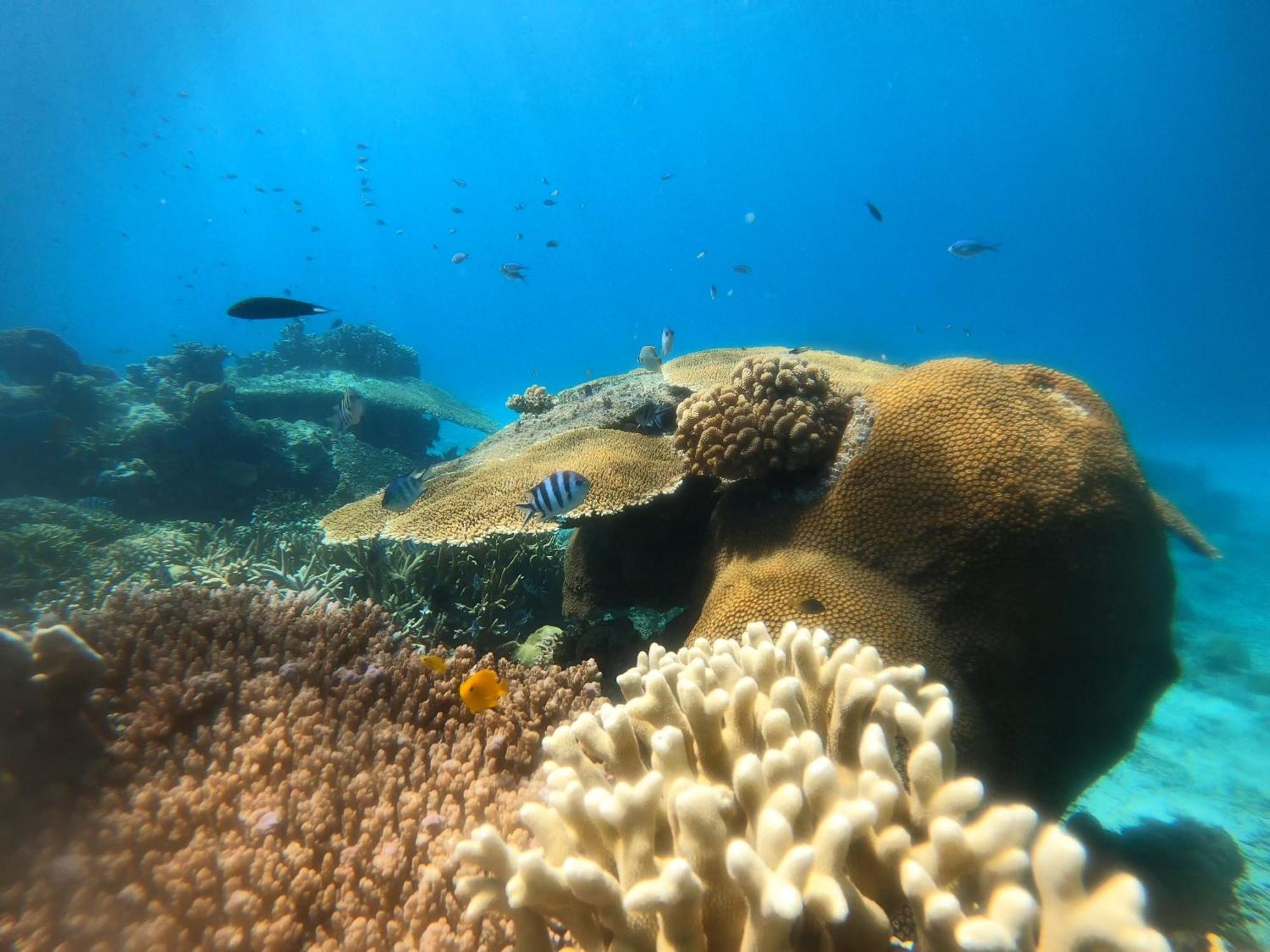 Natuna Dive Resort Ranai Luaran gambar