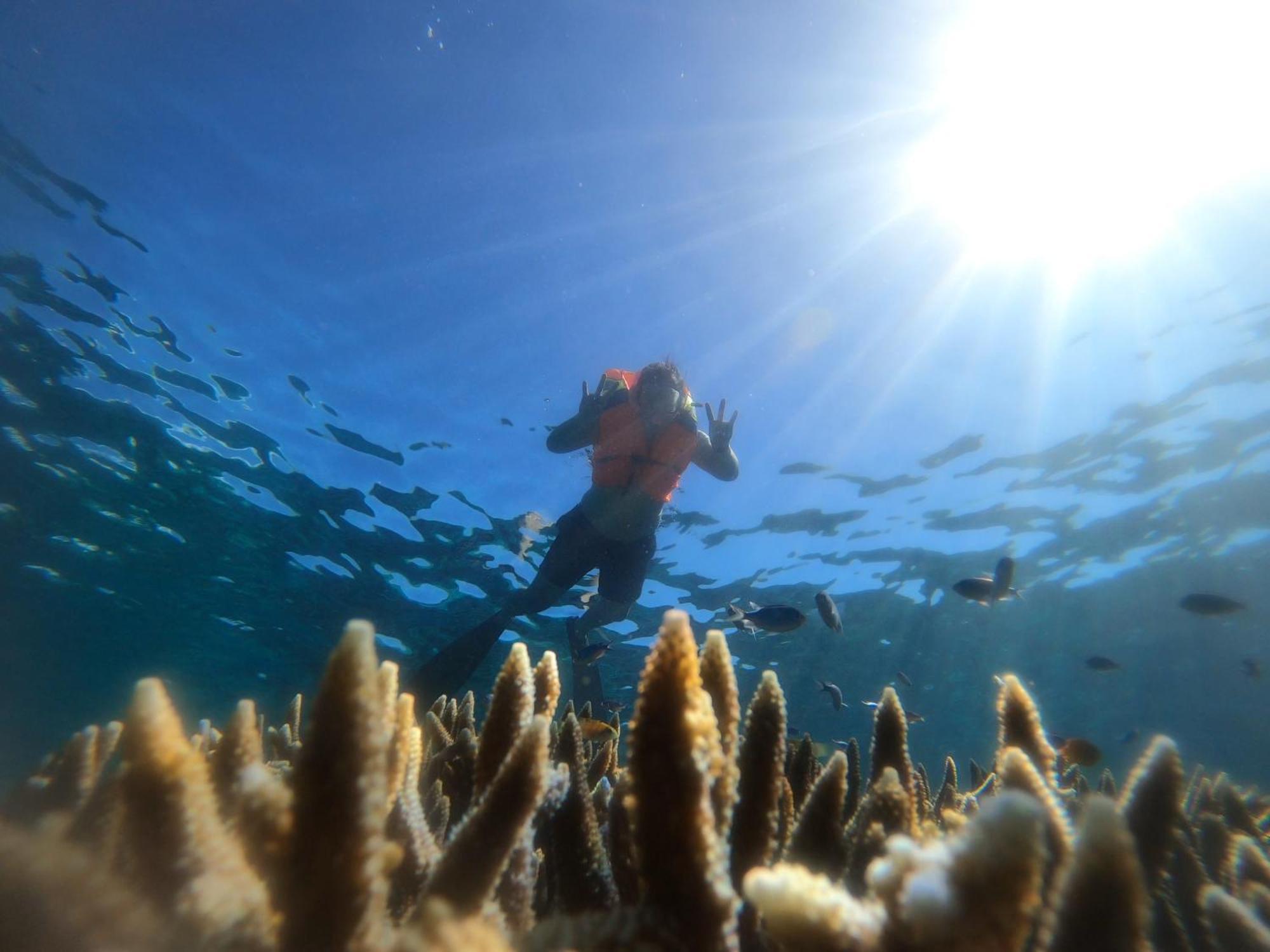 Natuna Dive Resort Ranai Luaran gambar