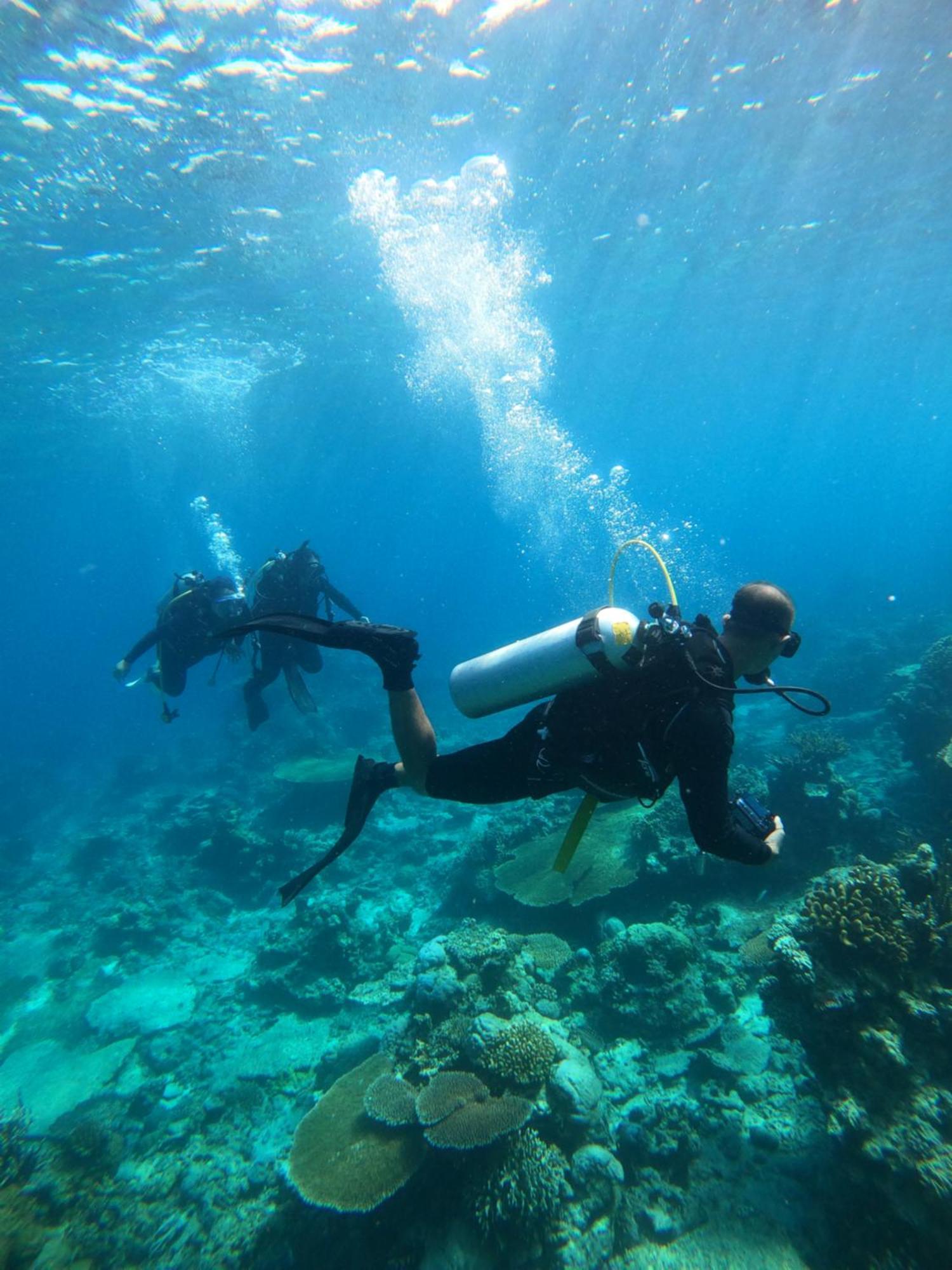 Natuna Dive Resort Ranai Luaran gambar